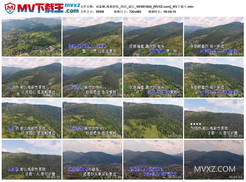 雨霖枫-孤独的伤_国语_流行_MEB01824